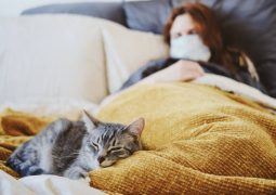 Comment savoir si mon chat a de la fièvre sans thermomètre ?