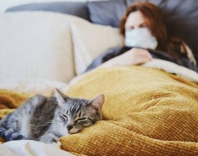 Comment savoir si mon chat a de la fièvre sans thermomètre ?