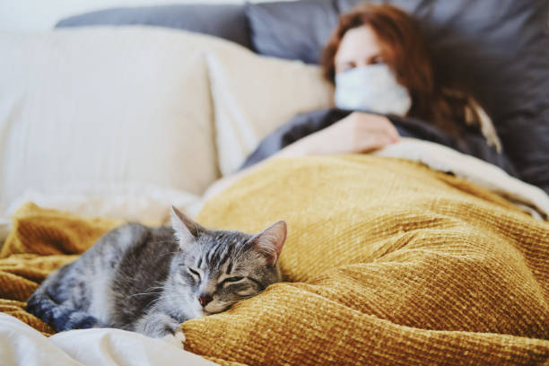 Comment savoir si mon chat a de la fièvre sans thermomètre ?