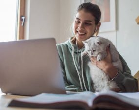 Comment occuper son chat ? Comment occuper son chat ?