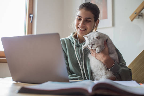 Comment occuper son chat ?