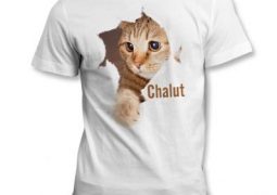 Pourquoi les vêtements avec des chats sont-ils si mignons ?