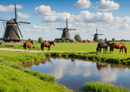 Centres équestres autour d’Amsterdam : un autre tourisme