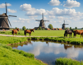 Centres équestres autour d’Amsterdam : un autre tourisme