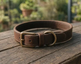 Collier pour chien : comment choisir la meilleure option ?