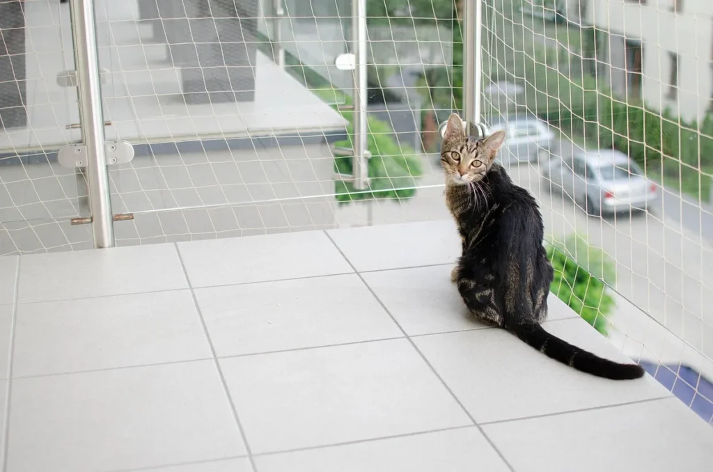 Tout savoir sur le label Pelanix habitat pour accessoires et niches
